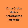 DRNA Ortica - korpásodás és zsírosodás elleni fejbőrápoló szérum