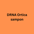 Drna Ortica -  Sampon zsírosodásra-korpásodàsra hajlamos hajra